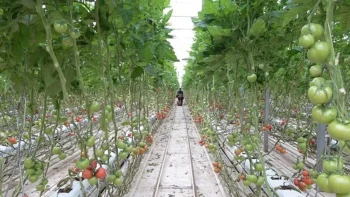 dem mühendislik projeler