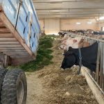 Van Yüzüncü Yıl Üniversitesi